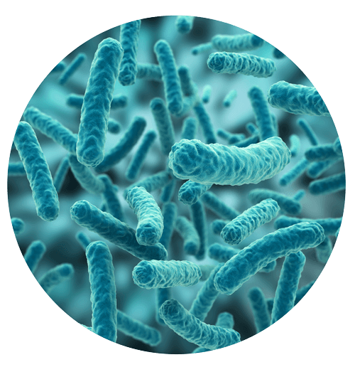 Legionella Risk Assessments in Hinckley